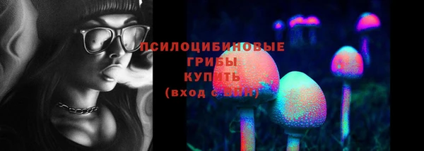 соль ск Алзамай