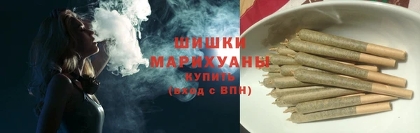 соль ск Алзамай