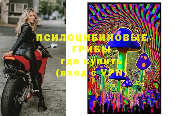 метадон Алексин
