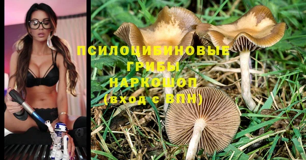 экстази Аркадак